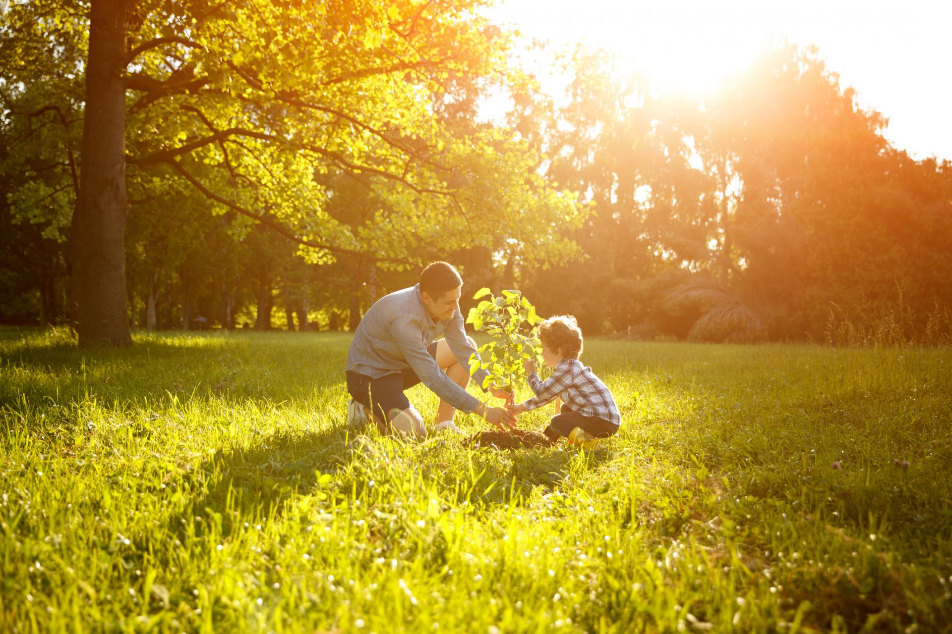 Ein Vater pflanzt mit seinem Sohn einen Baum in den Garten. Die Sonne scheint flach über den Horizont.
